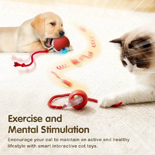 Smart Cat Toy Ball – Rechargeable Automatic Rolling Ball with Tail, Interactive Mouse Simulation